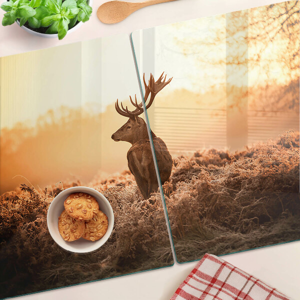 Glazen snijplanken Hert tegen de achtergrond van de zonsondergang