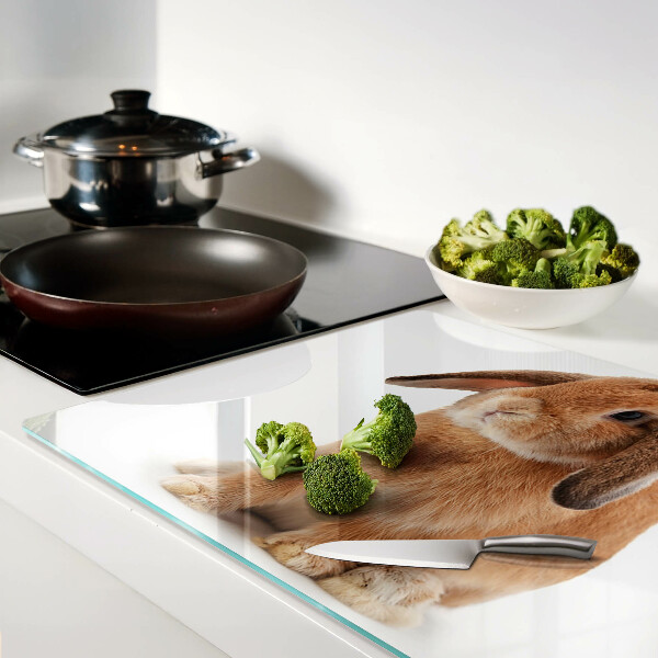 Snijplanken van glas Konijn op een witte achtergrond