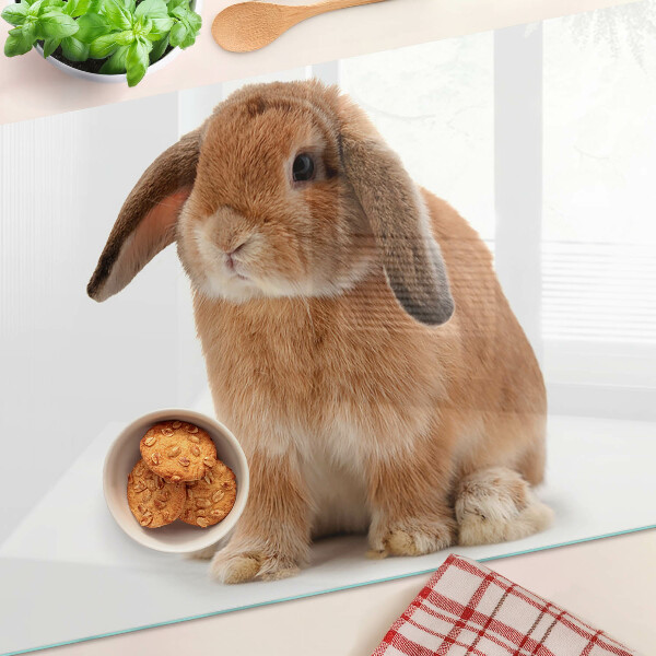 Snijplanken van glas Konijn op een witte achtergrond