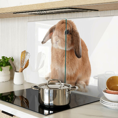 Snijplanken van glas Konijn op een witte achtergrond