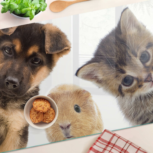 Glazen snijplanken Honden, katten, konijnen
