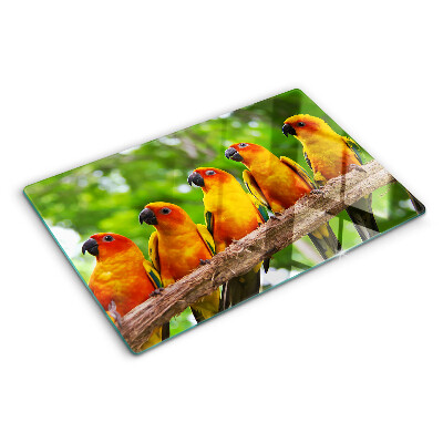 Snijplanken glas Papegaaien op een tak