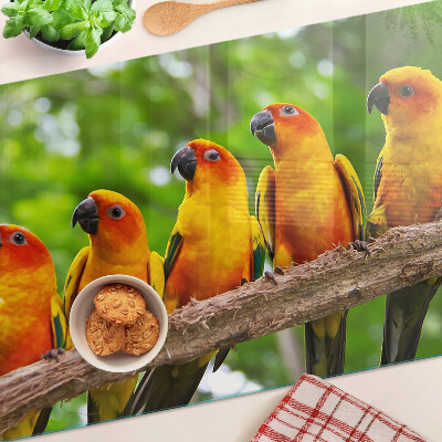 Snijplanken glas Papegaaien op een tak