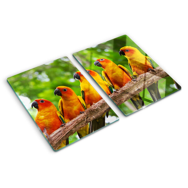 Snijplanken glas Papegaaien op een tak