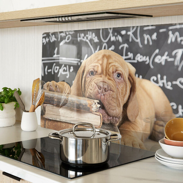 Snijplanken van glas Hond met boeken en een schoolbord