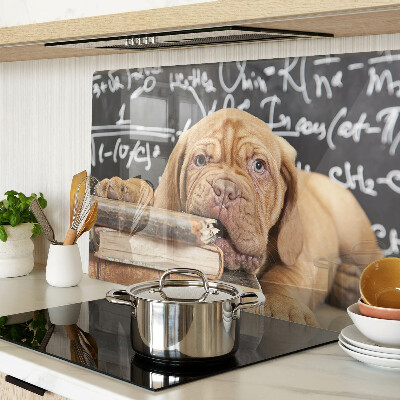 Snijplanken van glas Hond met boeken en een schoolbord