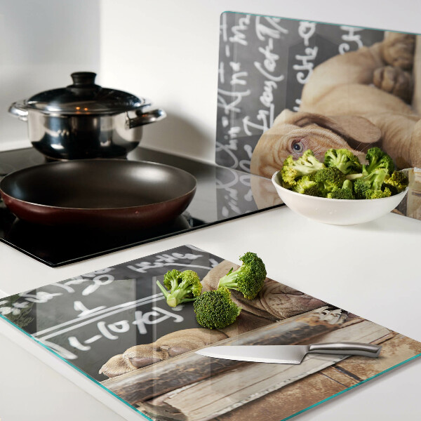 Snijplanken van glas Hond met boeken en een schoolbord