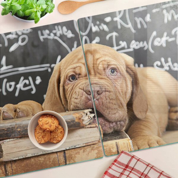Snijplanken van glas Hond met boeken en een schoolbord