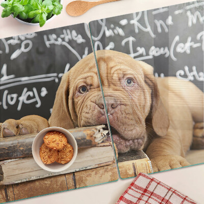 Snijplanken van glas Hond met boeken en een schoolbord