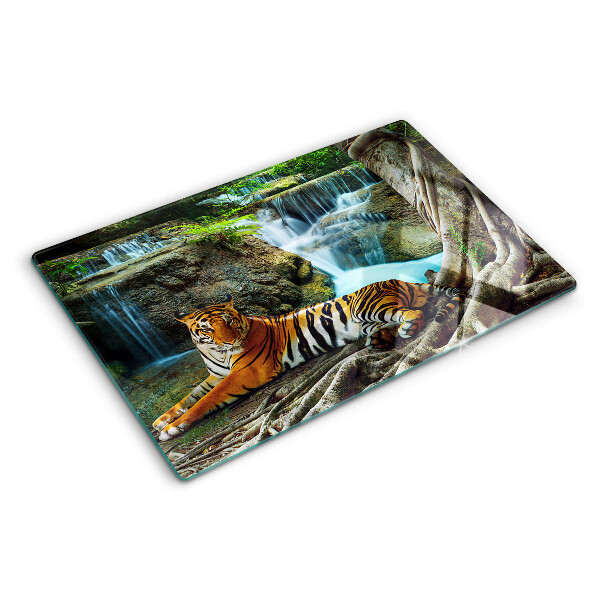 Snijplanken glas Tijger in zijn natuurlijke habitat