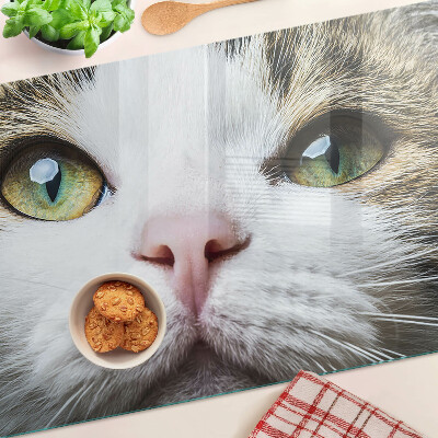 Snijplanken van glas Een kat met groene ogen