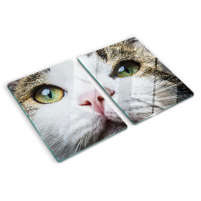Snijplanken van glas Een kat met groene ogen