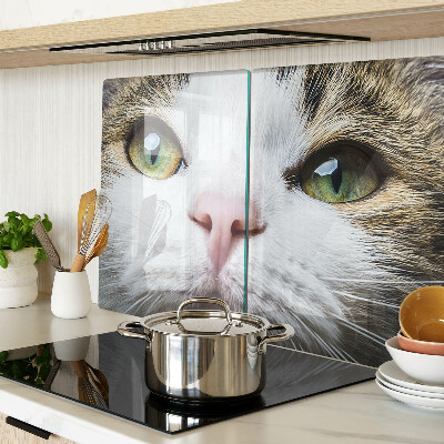 Snijplanken van glas Een kat met groene ogen