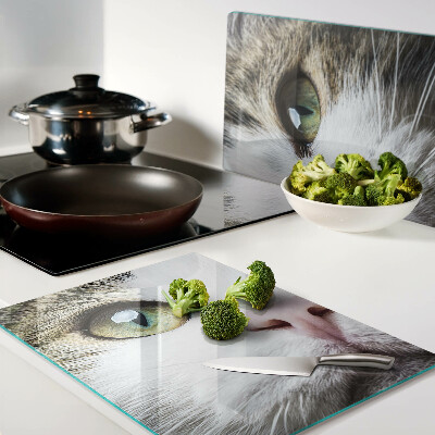 Snijplanken van glas Een kat met groene ogen