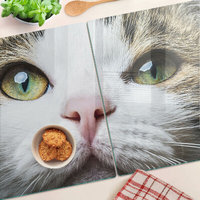 Snijplanken van glas Een kat met groene ogen