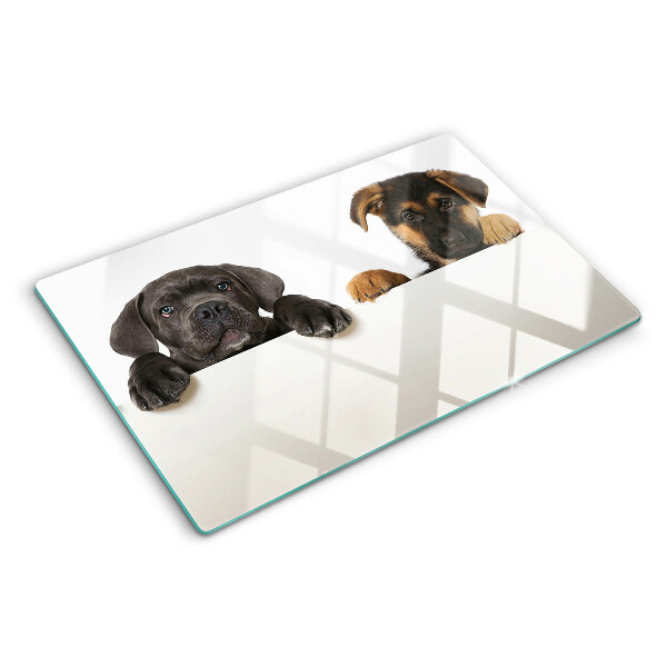 Snijplanken glas Twee honden kijken rond.