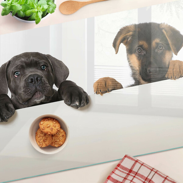 Snijplanken glas Twee honden kijken rond.