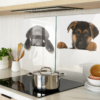 Snijplanken glas Twee honden kijken rond.