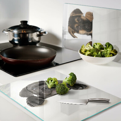 Snijplanken glas Twee honden kijken rond.