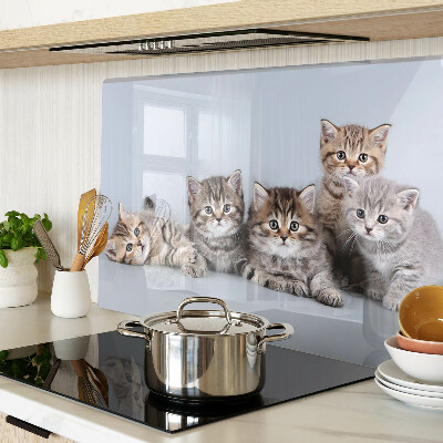 Snijplanken van glas Katten op de achtergrond van het raam.