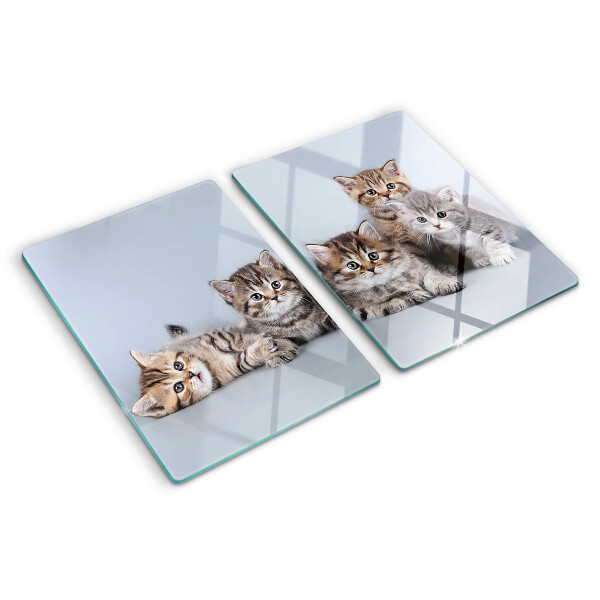 Snijplanken van glas Katten op de achtergrond van het raam.