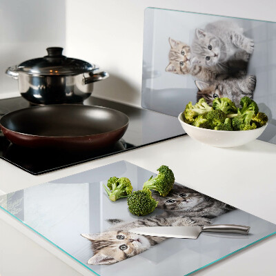 Snijplanken van glas Katten op de achtergrond van het raam.