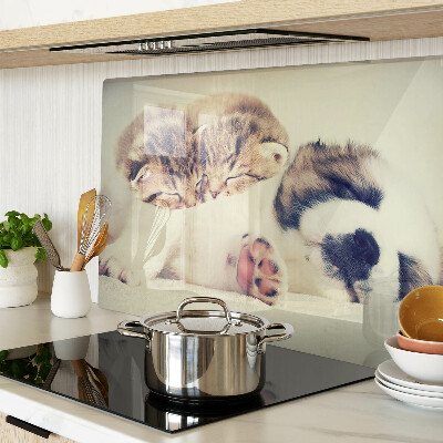 Glazen snijplanken Katten en een hond die samen slapen