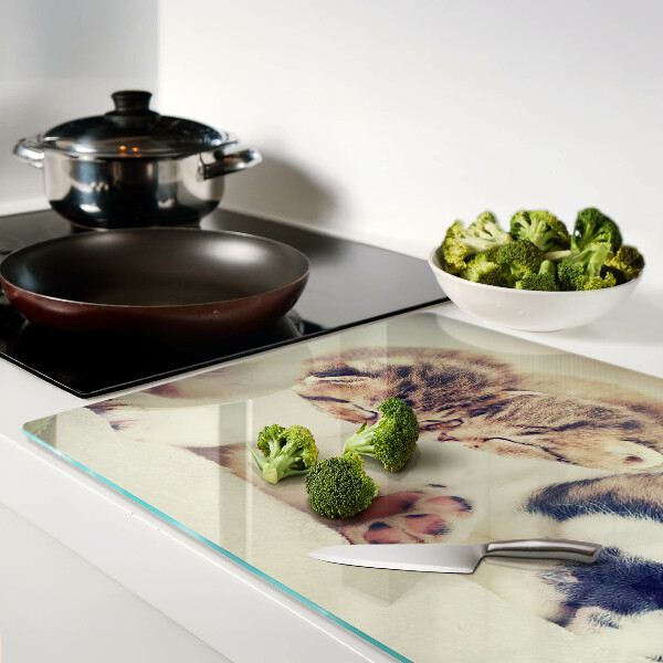 Glazen snijplanken Katten en een hond die samen slapen