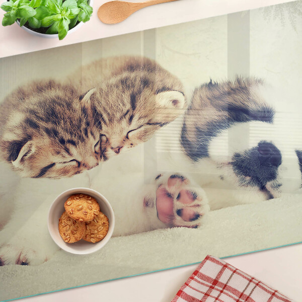 Glazen snijplanken Katten en een hond die samen slapen