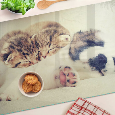 Glazen snijplanken Katten en een hond die samen slapen