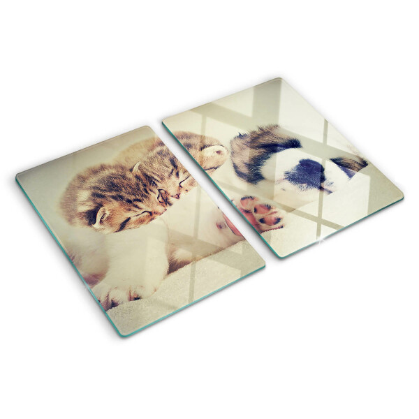 Glazen snijplanken Katten en een hond die samen slapen