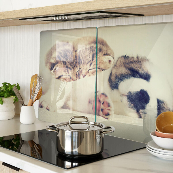 Glazen snijplanken Katten en een hond die samen slapen