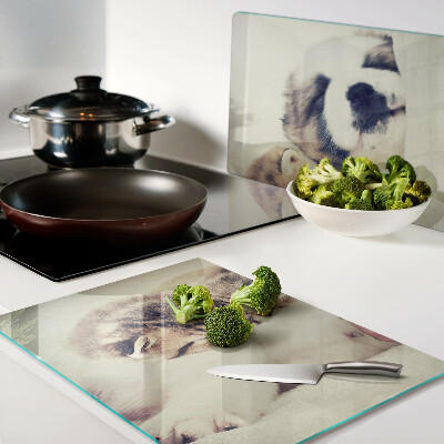 Glazen snijplanken Katten en een hond die samen slapen