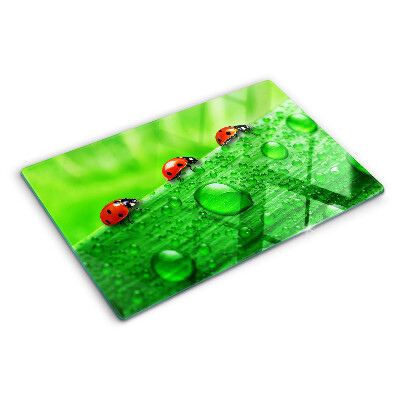 Snijplanken glas Lieveheersbeestjes op een groene achtergrond