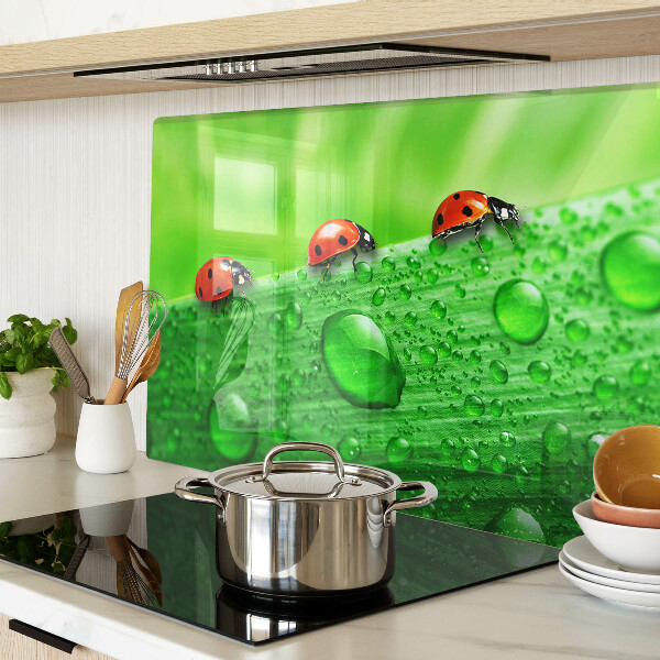 Snijplanken glas Lieveheersbeestjes op een groene achtergrond