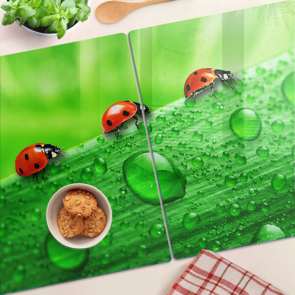 Snijplanken glas Lieveheersbeestjes op een groene achtergrond