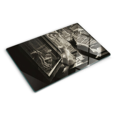 Glazen snijplanken Katten voor het raam