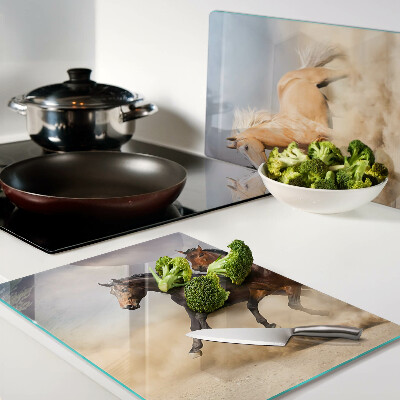 Snijplanken glas Galopperende paarden in beweging