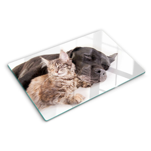 Glazen snijplanken Kat en hond slapen samen