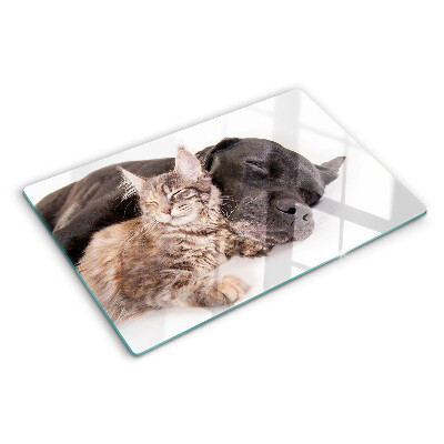 Glazen snijplanken Kat en hond slapen samen