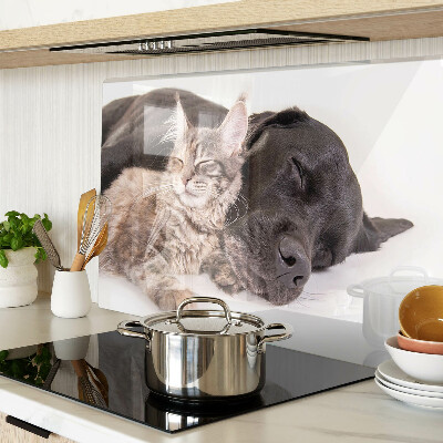 Glazen snijplanken Kat en hond slapen samen