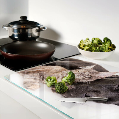 Glazen snijplanken Kat en hond slapen samen