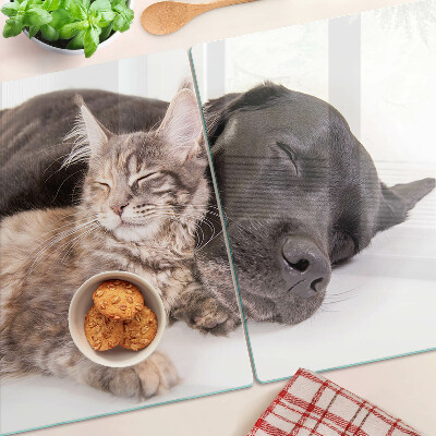 Glazen snijplanken Kat en hond slapen samen