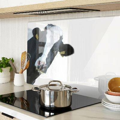 Snijplanken van glas Interessante koe