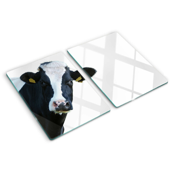 Snijplanken van glas Interessante koe