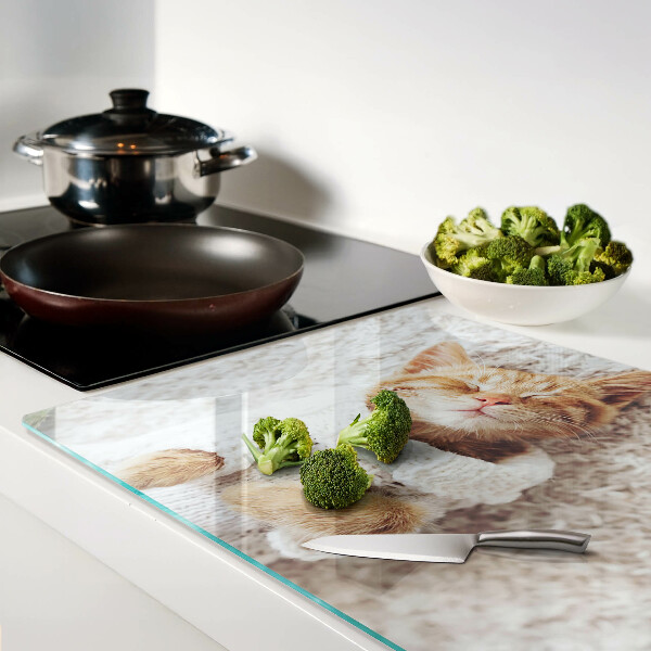 Snijplanken glas Schattig katje in een trui