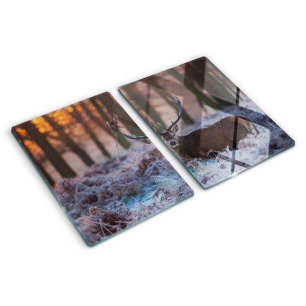 Snijplanken van glas Herten in het winterbos