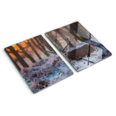 Snijplanken van glas Herten in het winterbos