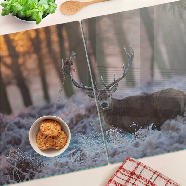 Snijplanken van glas Herten in het winterbos