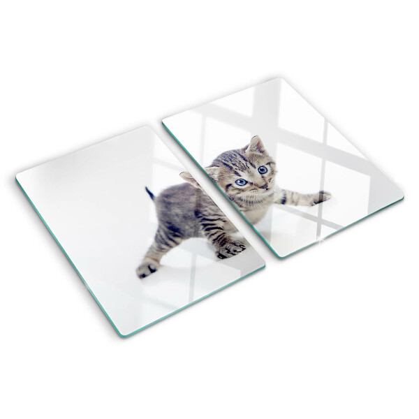 Glazen snijplanken Katje met blauwe ogen